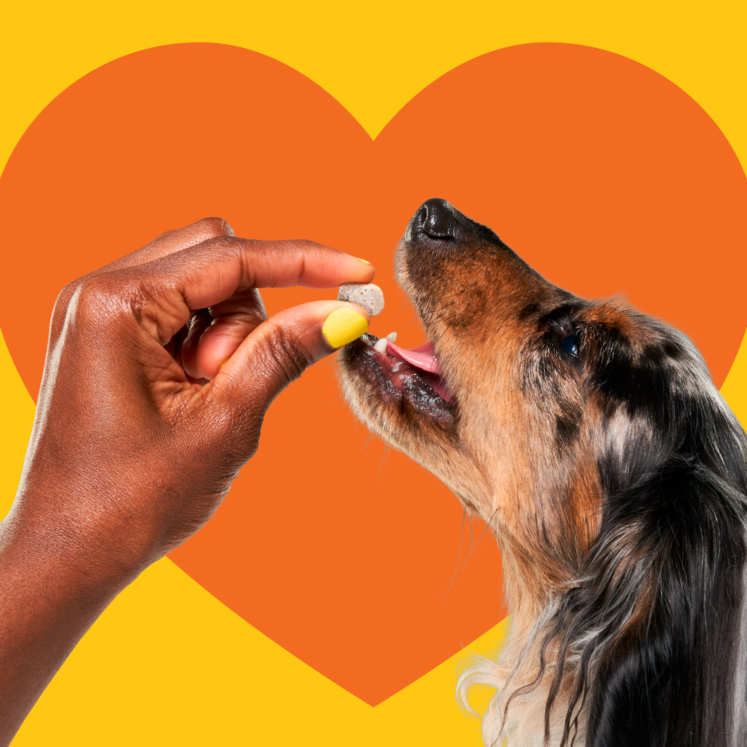 slide 7 of 7, Heckova! Chop Lickin' Chicken Recipe Freeze-Dried Raw Dog Treats & Topers, 4 oz, 4 oz