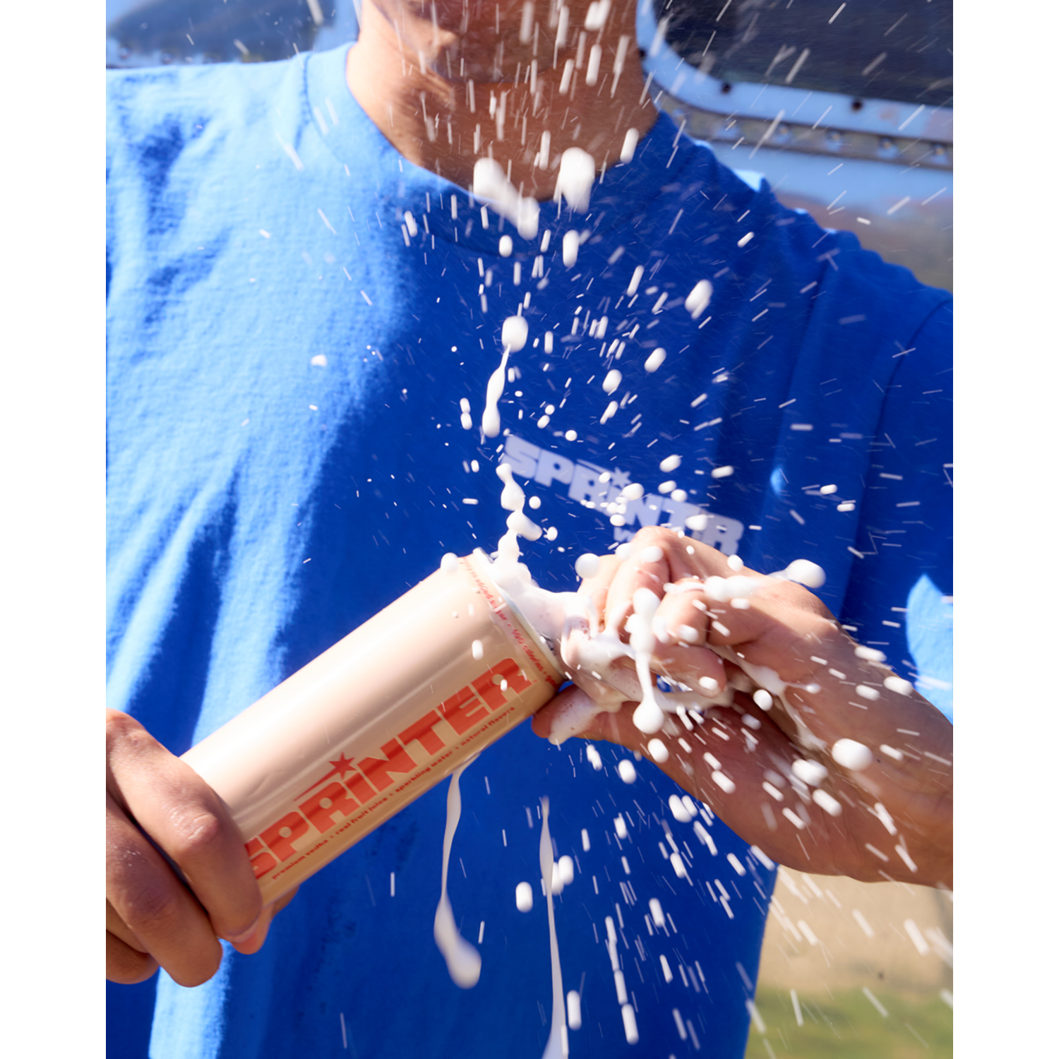 slide 6 of 6, Sprinter Grapefruit/Lime/Peach/Black Cherry Vodka Soda Variety Pack 8 - 355 ml Cans, 8 ct