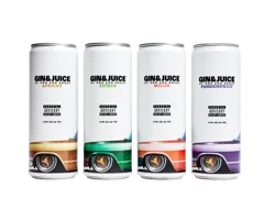Gin & Juice Cocktail Variety Pack 8 ea