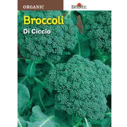 Burpee Di Cicco Broccoli