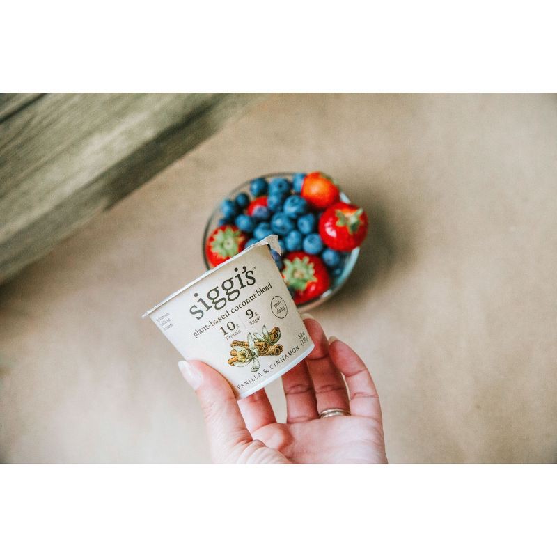 slide 3 of 10, Siggi's Vanilla Cinnamon Plant-Based Coconut Blend Yogurt Alternative - 5.3oz, 5.3 oz