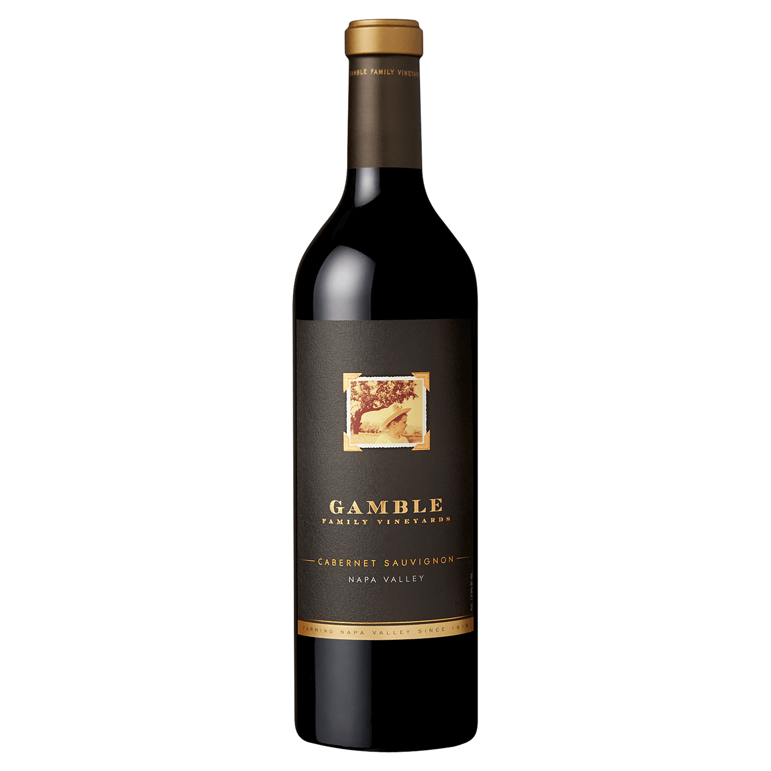 slide 1 of 1, Gamble Family Napa Valley Cabernet Sauvignon 2014, 750 ml