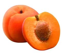 Apricots