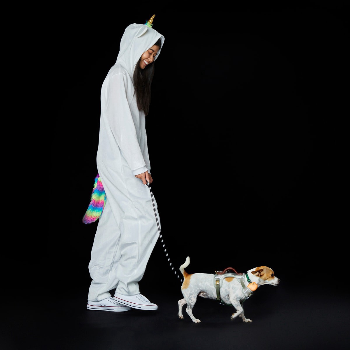 slide 2 of 6, Youly Reflective Retractable Dog Black 6-ft Leash, 1 ct