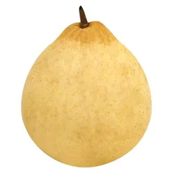 Pear Yali