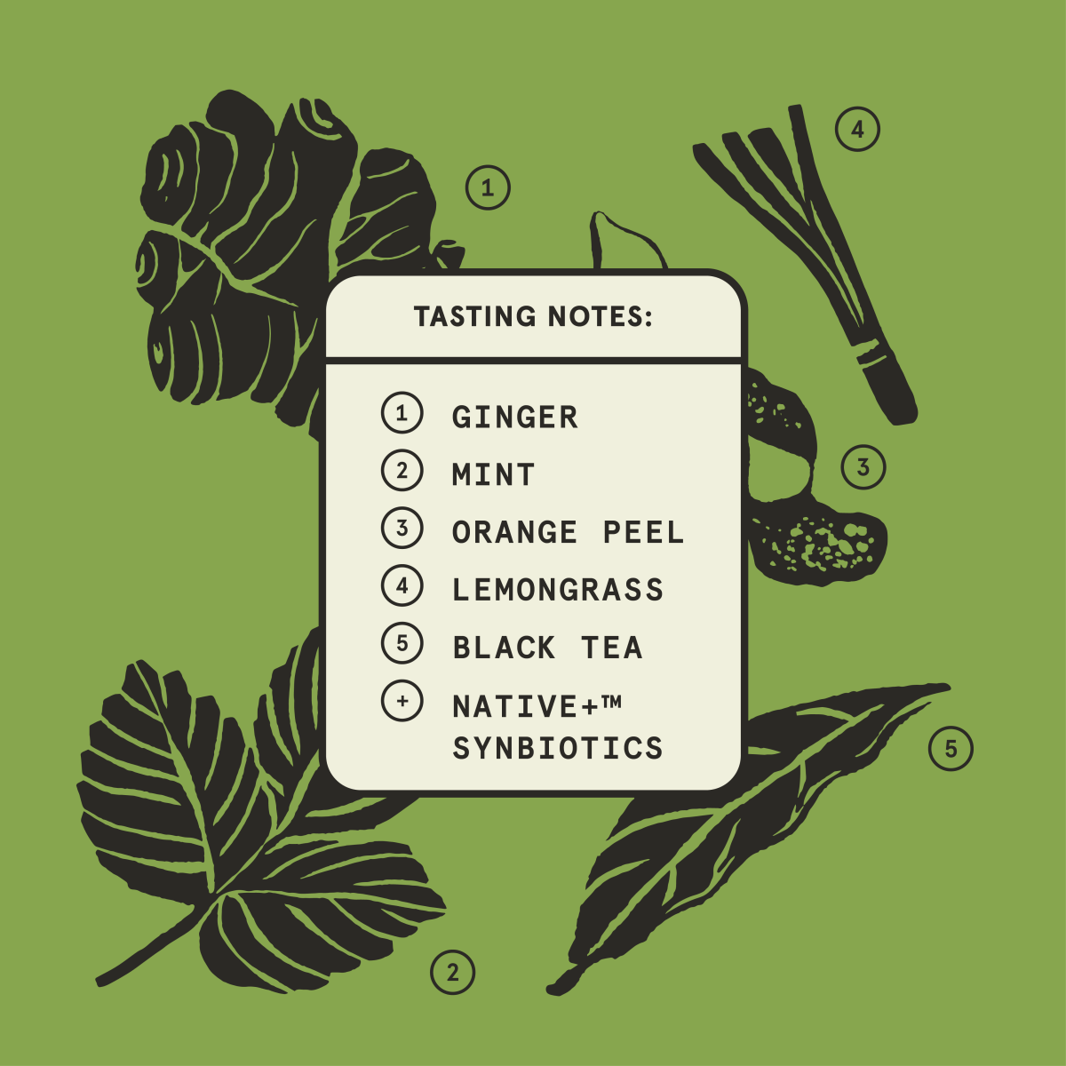 slide 2 of 6, Better Booch Kombucha Sparking Probiotic Drink Ginger Boost, 12 fl oz