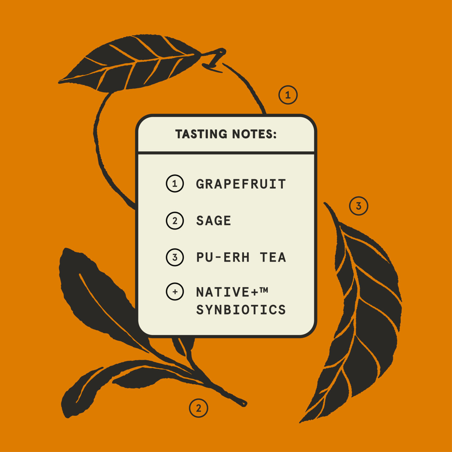 slide 3 of 6, Better Booch Kombucha Sparking Probiotic Drink Citrus Sunrise, 12 fl oz