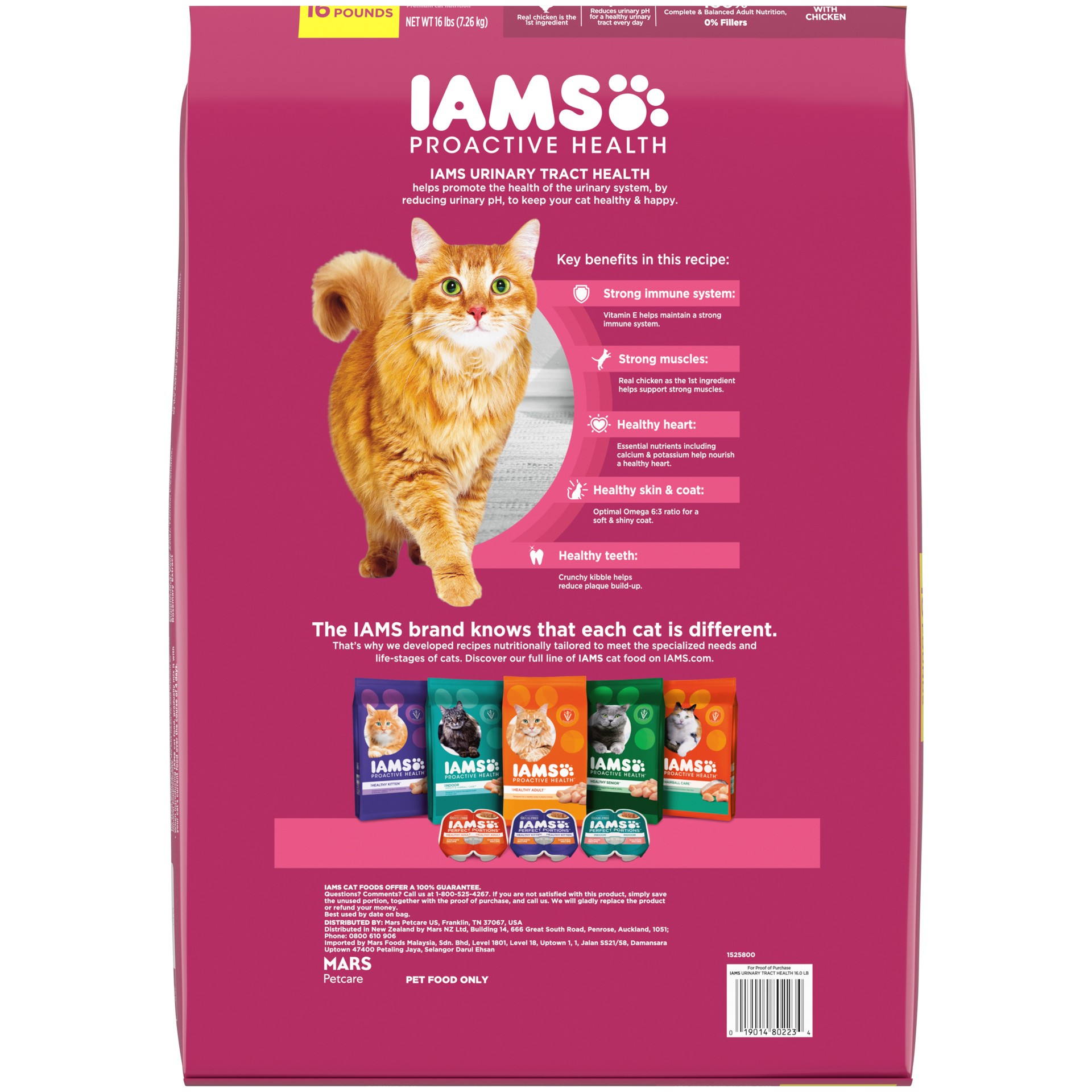 slide 3 of 5, IAMS PROACTIVE HEALTH Adult Urinary Tract Healthy Dry Cat Food with Chicken Cat Kibble, 16 lb. Bag, 16 lb