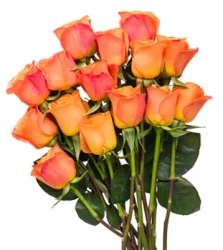 Debi Lilly Rose Orange Guar 12 Stem