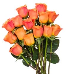 Debi Lilly Rose Orange Guar 12 Stem