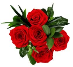 Debi Lilly Rose Mini Chic Bouquet