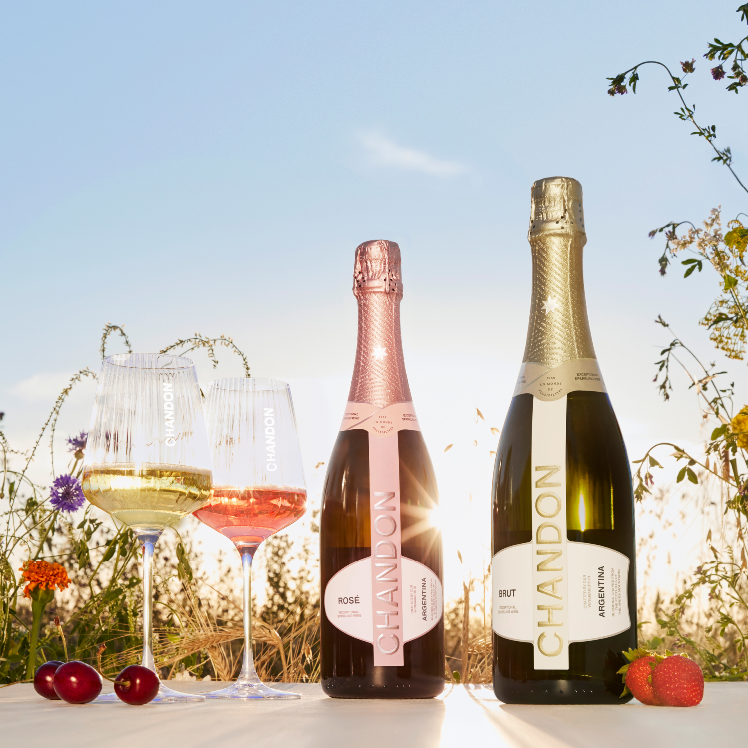 slide 4 of 4, Chandon Sparkling Chandon Brut Blanc De Noirs, 750 ml