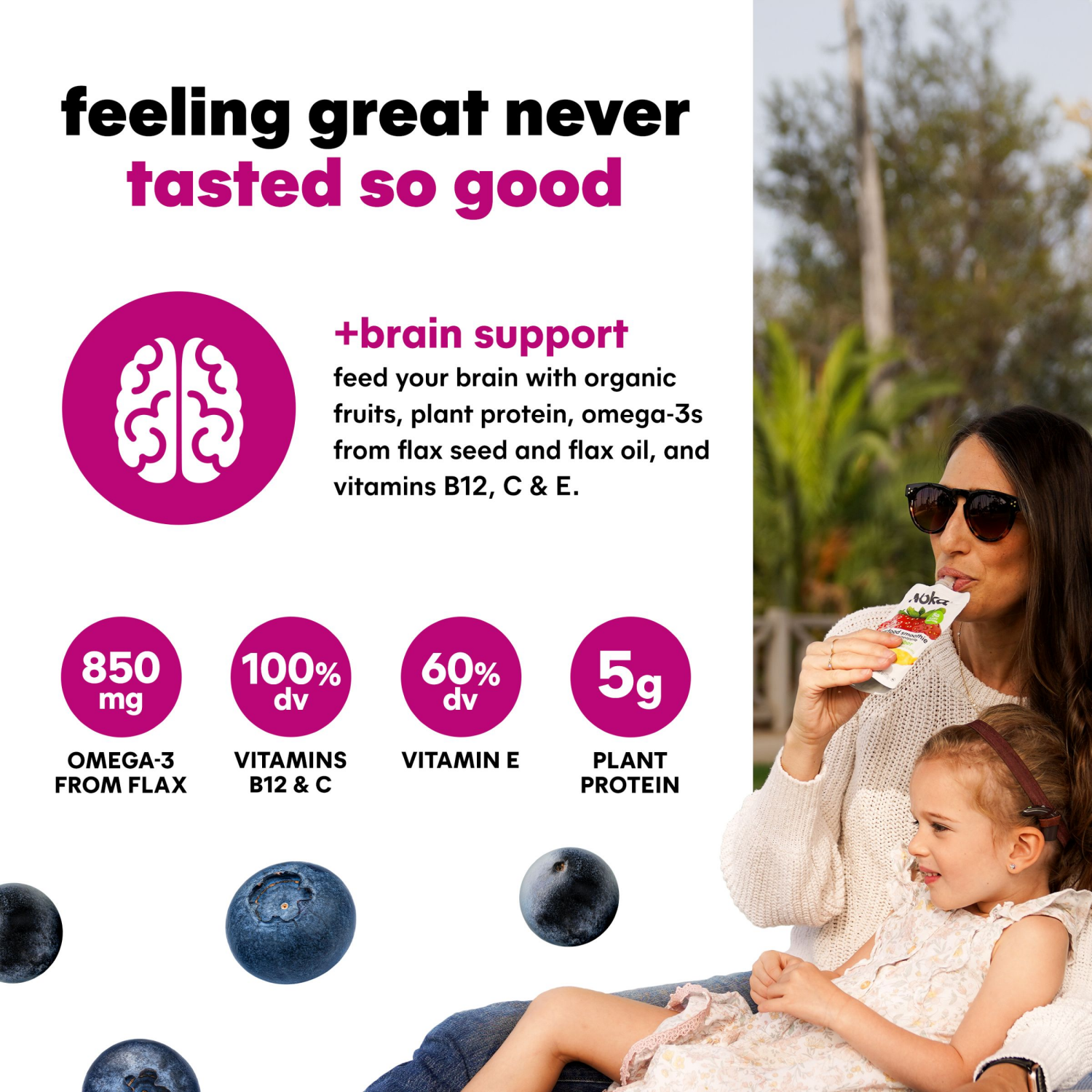 slide 4 of 8, NOKA Superfood Smoothies, Blueberry Acai 4pack, 4 ct; 16.9 oz