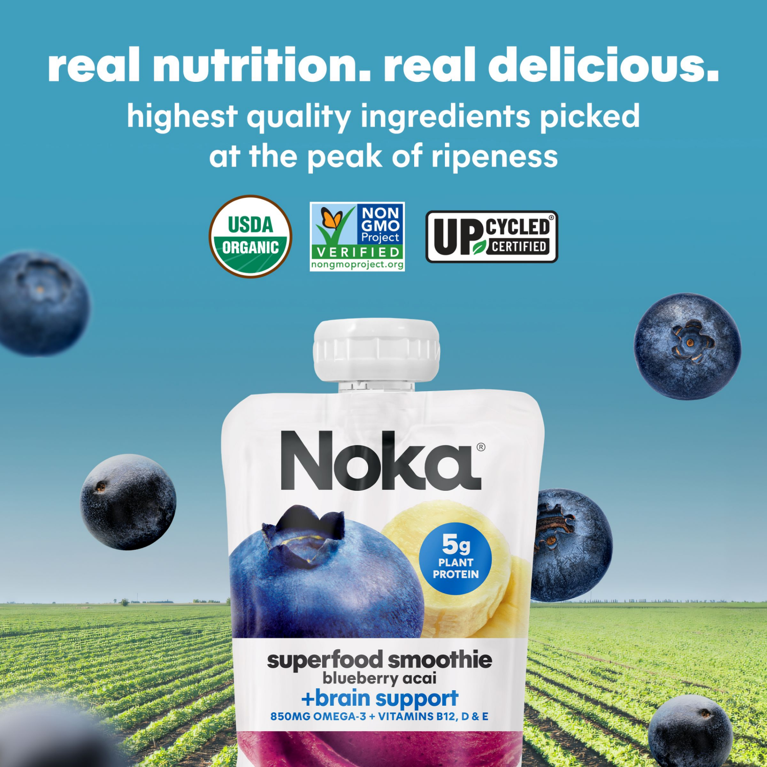 slide 6 of 8, NOKA Superfood Smoothies, Blueberry Acai 4pack, 4 ct; 16.9 oz