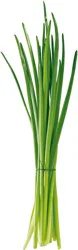 Fresh Chives