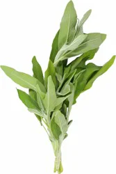 Fresh Sage