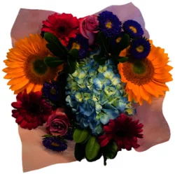 Dl Perfect Gift Luxe