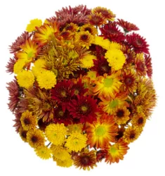 Bliss Bouquet