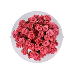 Giant Eagle 60 Bloom Spray Rose Bouquet