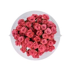 Giant Eagle 60 Bloom Spray Rose Bouquet