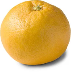 Grapefruit Red