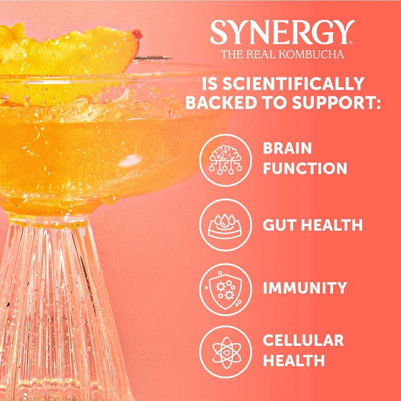 slide 7 of 8, GT's Synergy The Real Kombucha, Peach Paradise – 16 fl oz, 16 fl oz