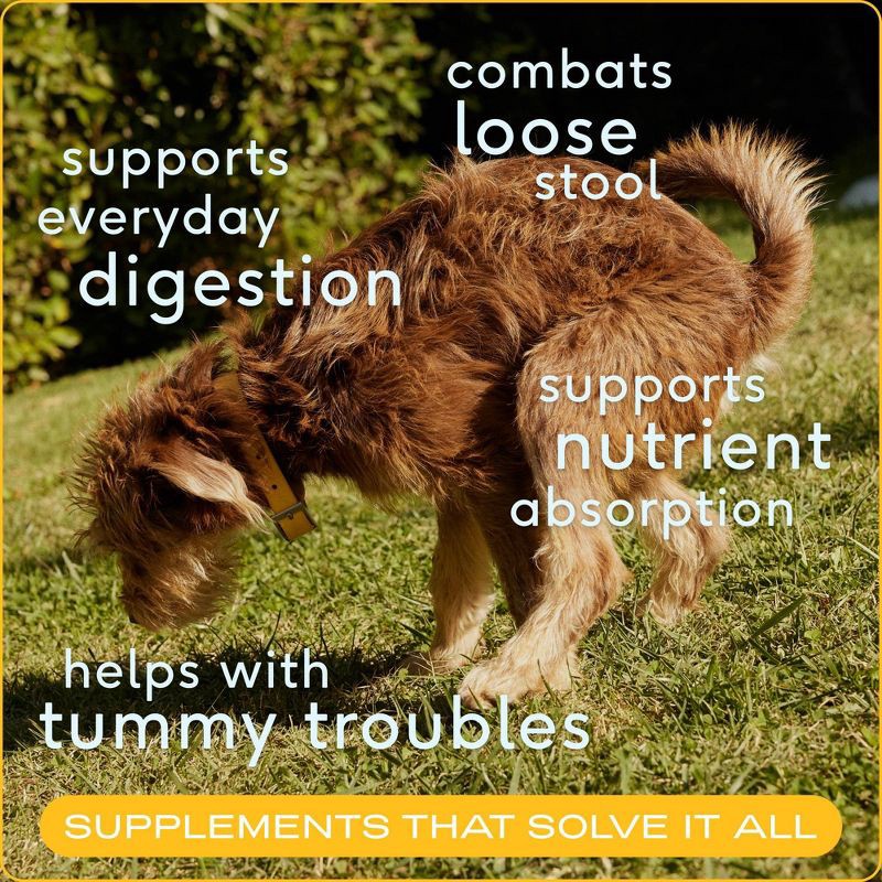 slide 3 of 7, Native Pet Pumpkin Supplement Powder for Dogs - 8oz, 8 oz