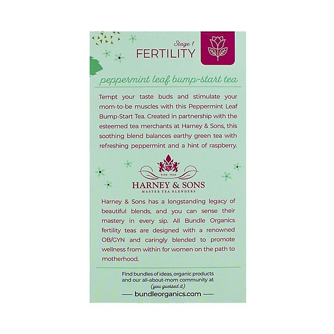 slide 2 of 4, Bundle Organics Peppermint Leaf Bump-Start Tea, 20 ct