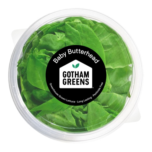 slide 1 of 1, Gotham Greens Baby Butterhead Lettuce Bowl, 1 ct