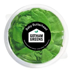 Gotham Greens Baby Butterhead Lettuce Bowl