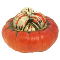 Turban Squash