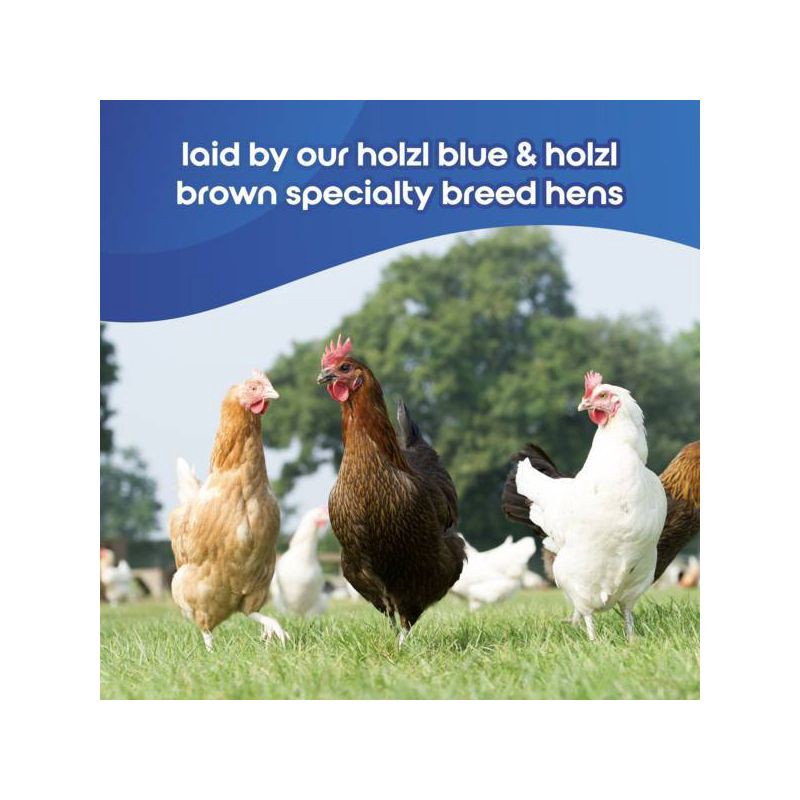 slide 4 of 7, The Happy Egg Co. Happy Egg Co. Free Range Heritage Breed Brown and Blue Eggs - 28oz/12ct, 28 oz, 12 ct