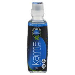 Karma Blueberry Lemonade Probiotic Water 18 fl oz
