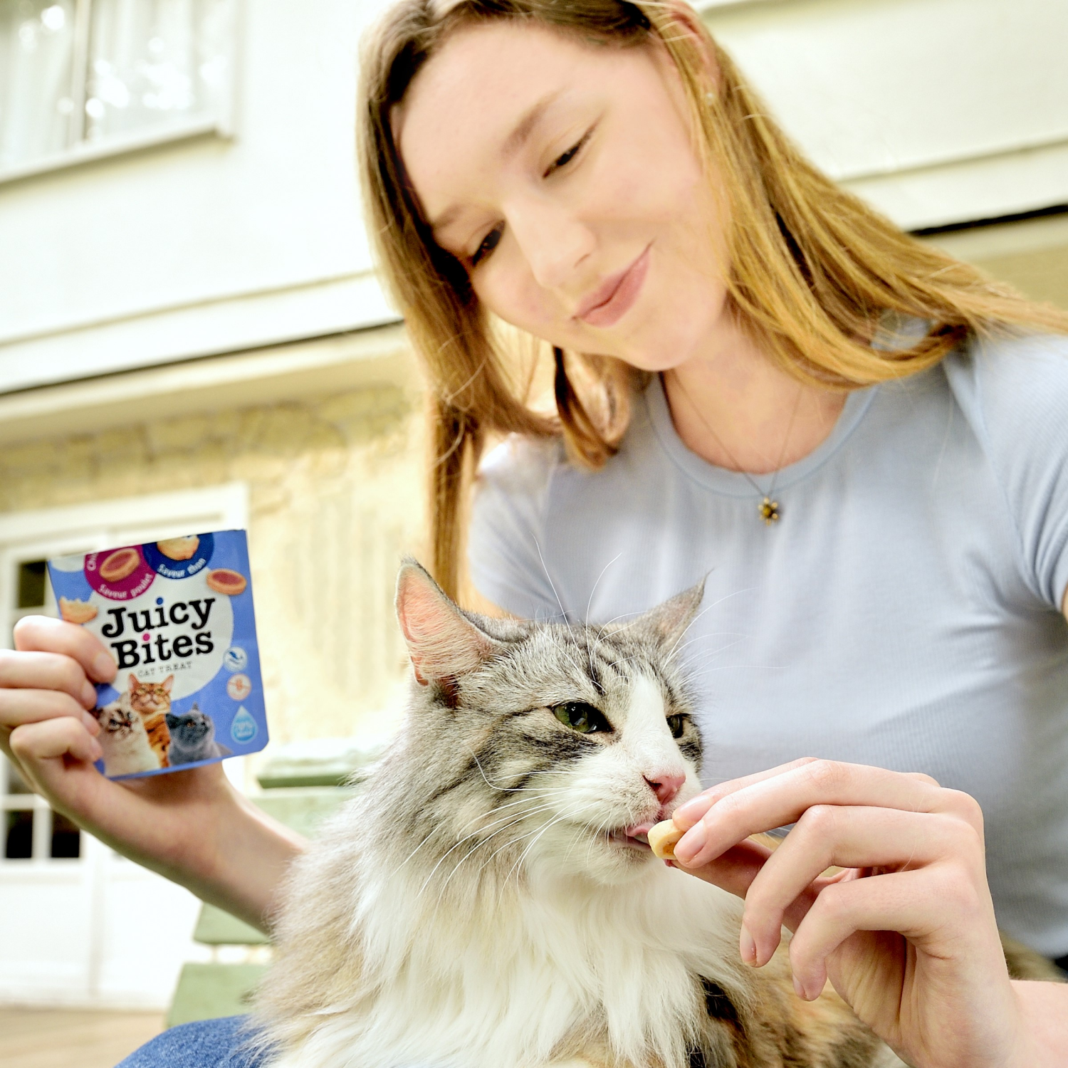 slide 3 of 6, Inaba Juicy Bites Fish & Clam Flavor Cat Treat 3-0.4 oz Packs, 3 ct