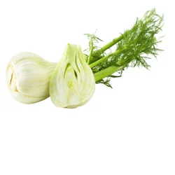 Organic Fennel (Anise)