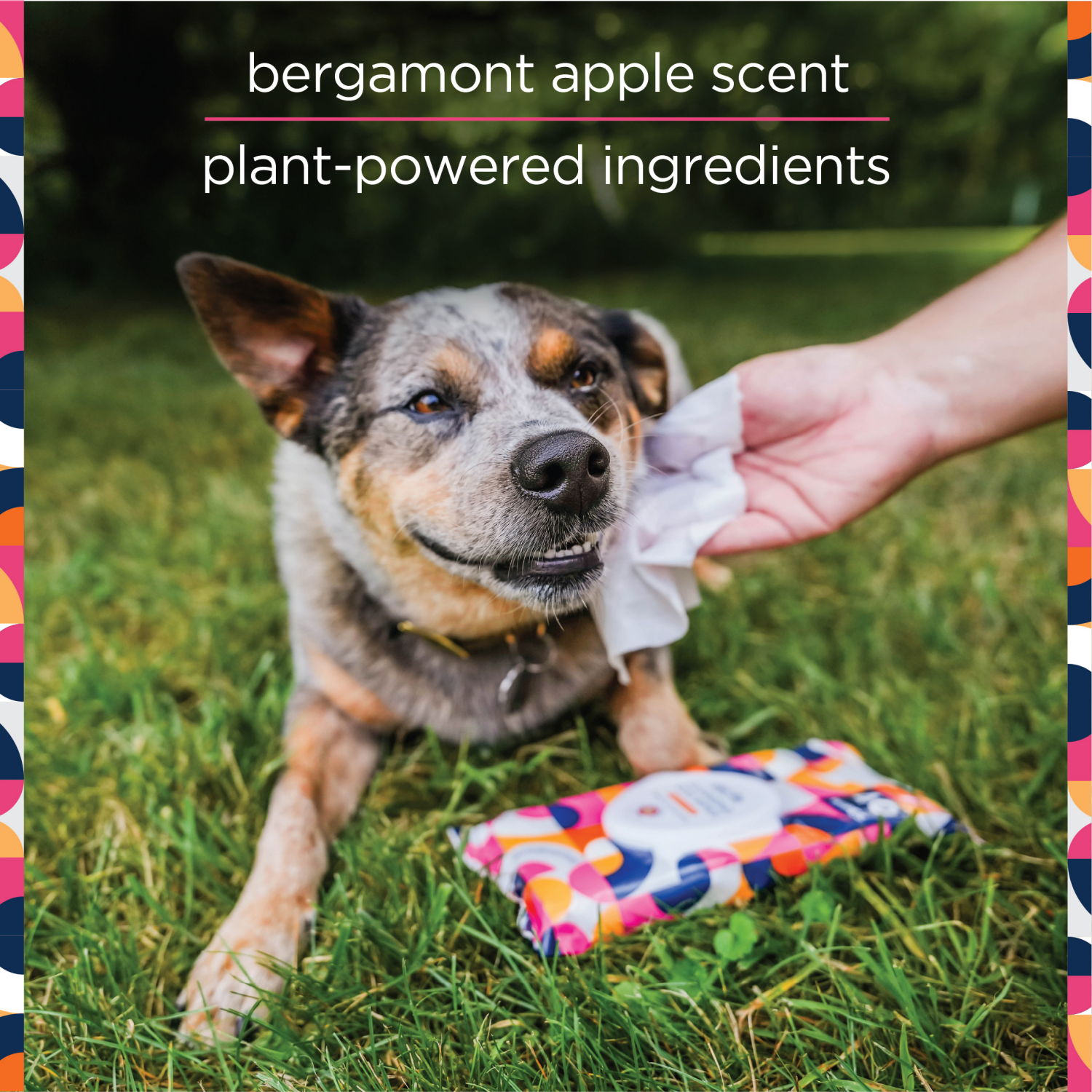 slide 4 of 8, Pet Life Cleansing Bergamot Apple Dog Wipes 40 ea, 40 ct