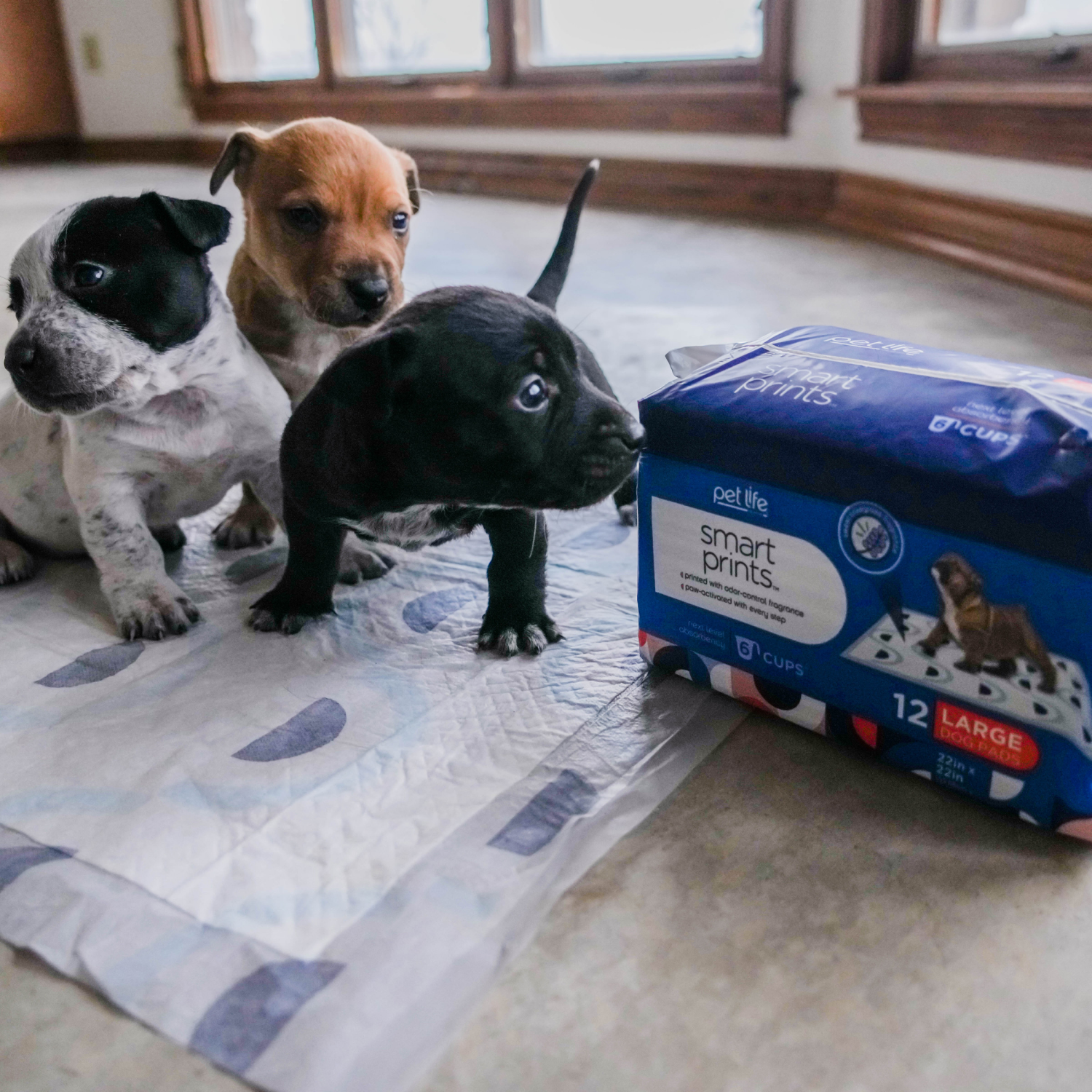 slide 2 of 4, Pet Life Smart Prints Dog Pads Large 12 ea, 12 ct