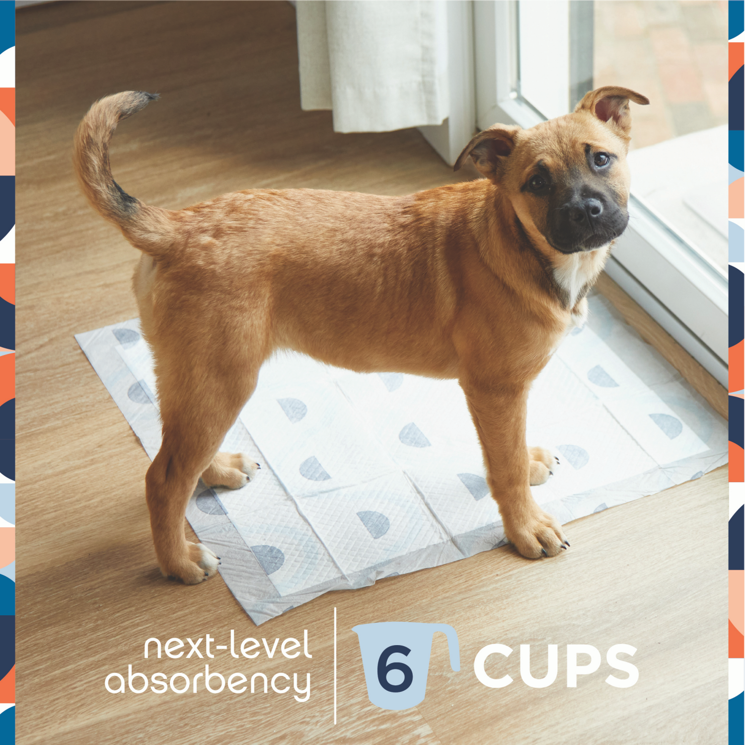 slide 2 of 5, Pet Life Unlimited Puppy Smart Prints Training Dog Pads - L - 40ct, 40 ct