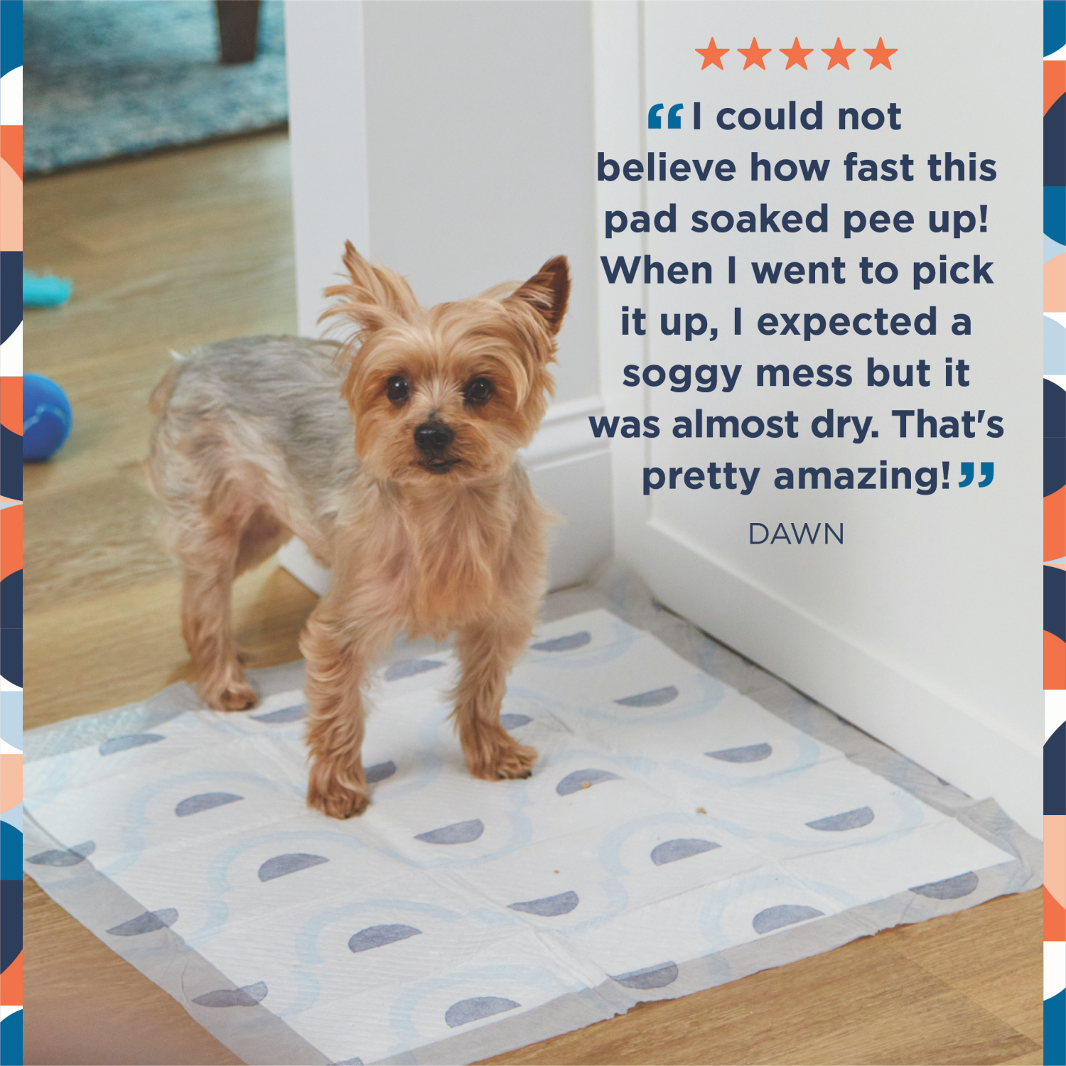 slide 4 of 5, Pet Life Unlimited Puppy Smart Prints Training Dog Pads - L - 40ct, 40 ct