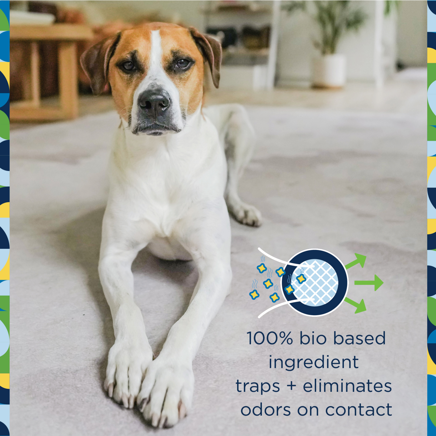 slide 2 of 5, Pet Life Juniper Leaf Carpet Refresher 16 oz, 16 oz