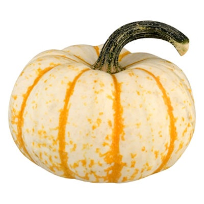 slide 1 of 1, Pumpkins Mini Baby Tiger Striped, 1 ct