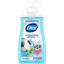 Dial Antibacterial Defense Liquid Hand Soap - Spring Water - 11 fl oz
