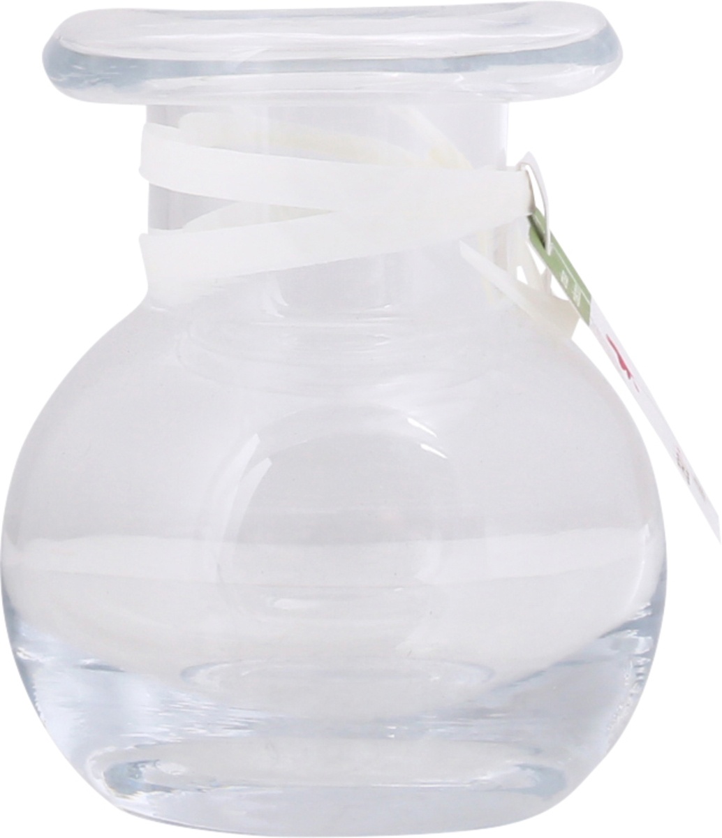 slide 7 of 9, Debi Lilly Design Debi Lilly Artisan Vase, 1 ct