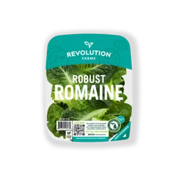 Revolution Farms Lettuce Robust Romaine