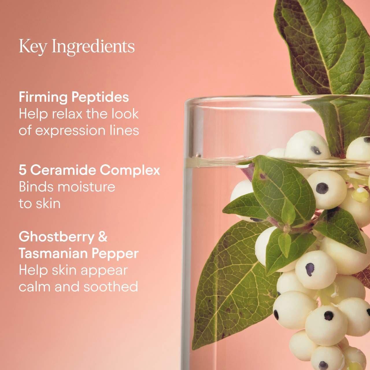 slide 7 of 13, ALPYN Super Peptide & Ghostberry Moisturizer for Eczema, Barrier and Wrinkle Repair 1.7 oz/50 mL, 1.7 oz/50 ml