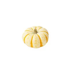 Mini Tiger Stripe Pumpkins