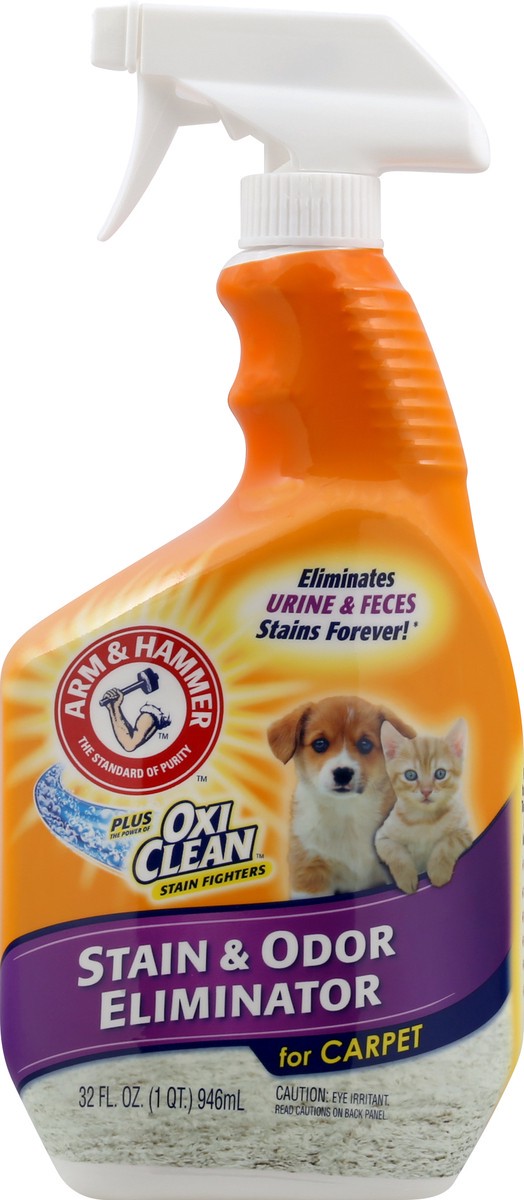 slide 1 of 4, ARM & HAMMER Pet Stain & Odor Eliminator for Carpet & Upholstery 32 fl oz, 32 fl oz