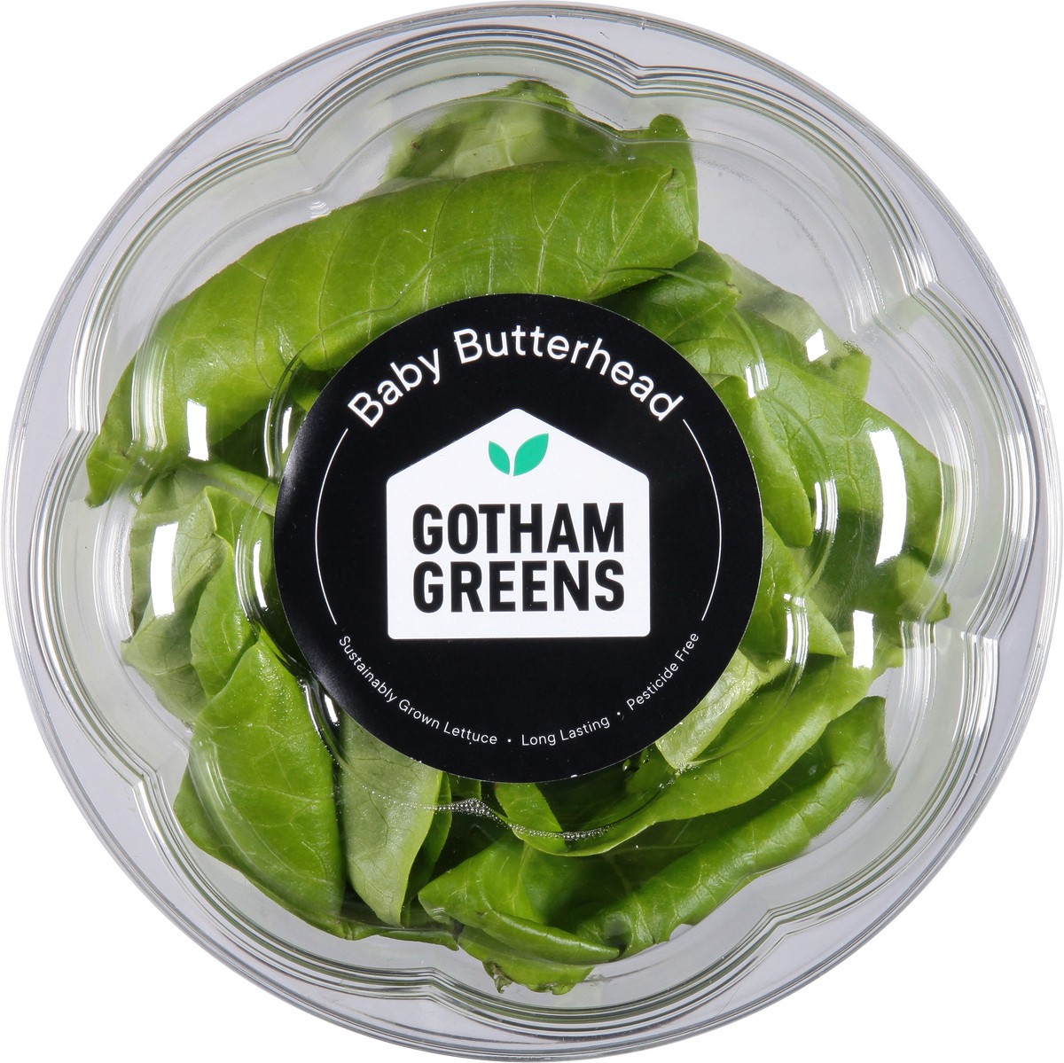 slide 1 of 9, Gotham Greens Baby Butterhead Lettuc, 1 ct