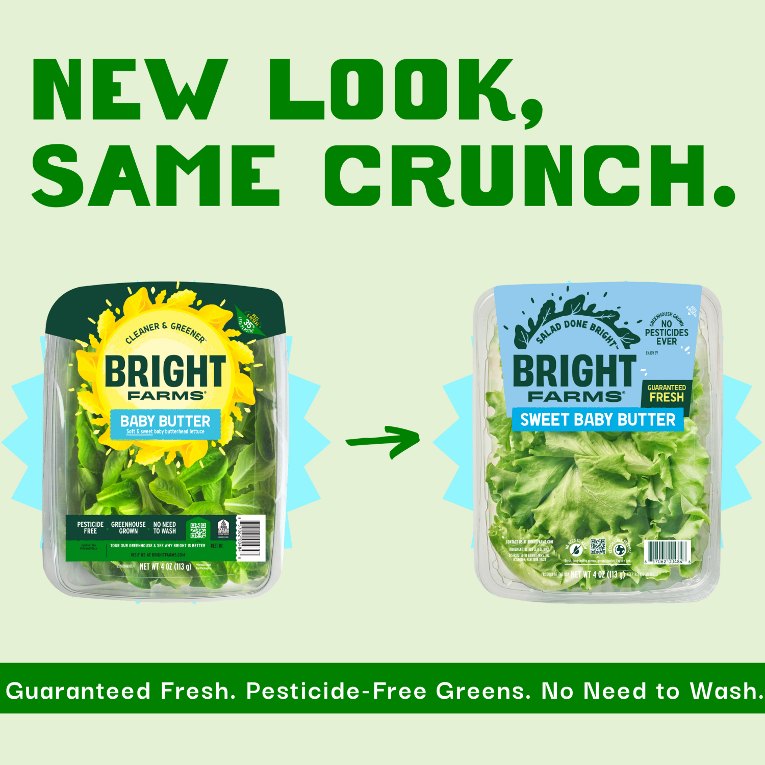 slide 7 of 7, Bright Farms BrightFarms Sweet Baby Butter Leaf Lettuce, 4 oz Salad, 4 oz