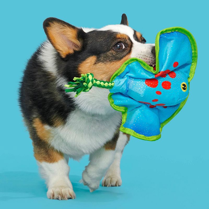 slide 4 of 7, BARK Manny Ray Under the Seams Dog Toy - Blue/Red/Green, 1 ct